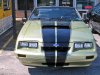 IMG_0002_edited.jpg