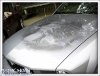 Transparent Hood.jpg