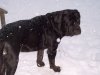 000_0104.jpg