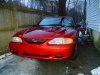 Stang-1.JPG