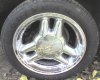 TriBar Chrome.jpg