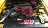 IMAG0044.jpg