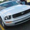 mustangbabe