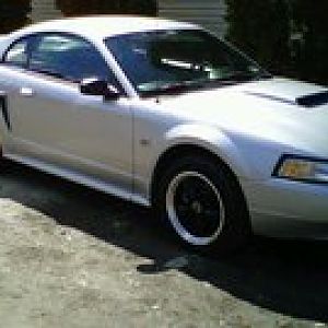 Newer pics
