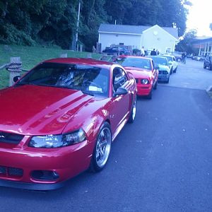 my stang
