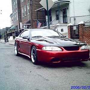mustang 2 (Small)