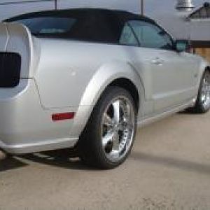 profile view