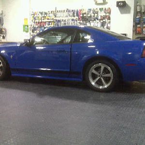 Side shot..