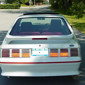 MustangPhotos 003