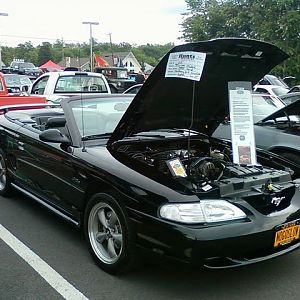 lia20101