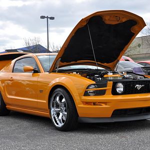 ahra car show 411