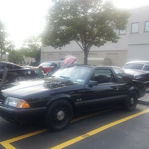 MoonlightCruisersA