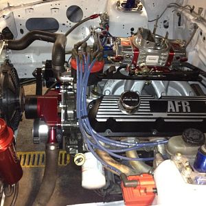 IMG 0256