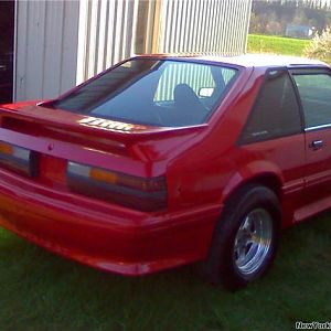 Rear
