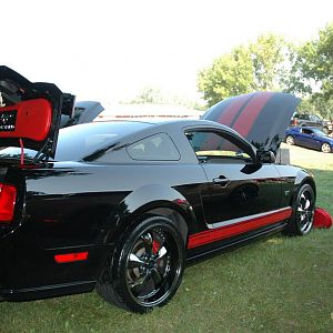 Mustang Rally 003