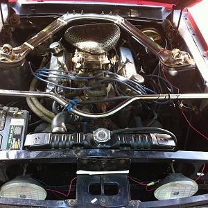 Mustang3