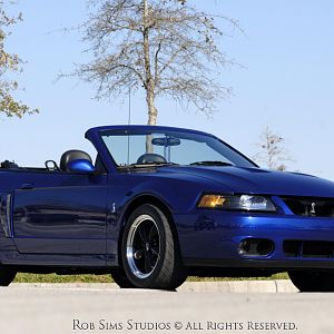 Rob Sims Studios