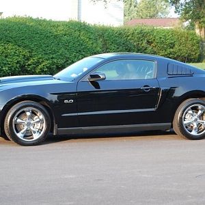 MY 5.0 GT