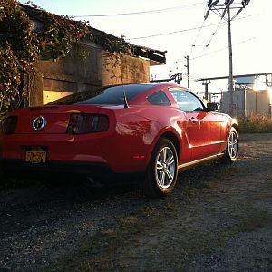 43135.jpg