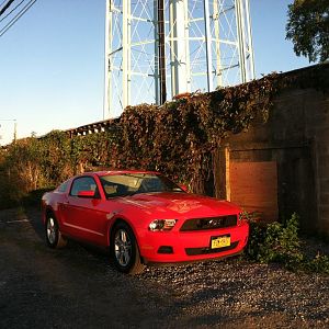 43136.jpg
