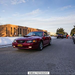 49321.jpg