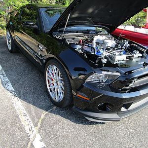 shelby 8.10.14 169