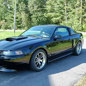 mustang7