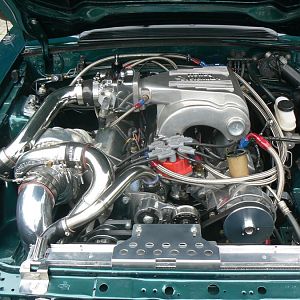 Mustang pics 012